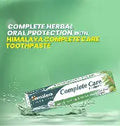 Himalaya Complete Care Tooth Pest 40 Gm