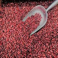 Laal Rajma 1kg