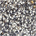 Urad Chilka SM