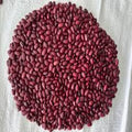 Rajma Jammu 1kg