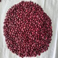 Rajma Jammu 1kg