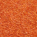 Laal Malka