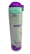 Pixy art 500 vacuum hot & cold bottle