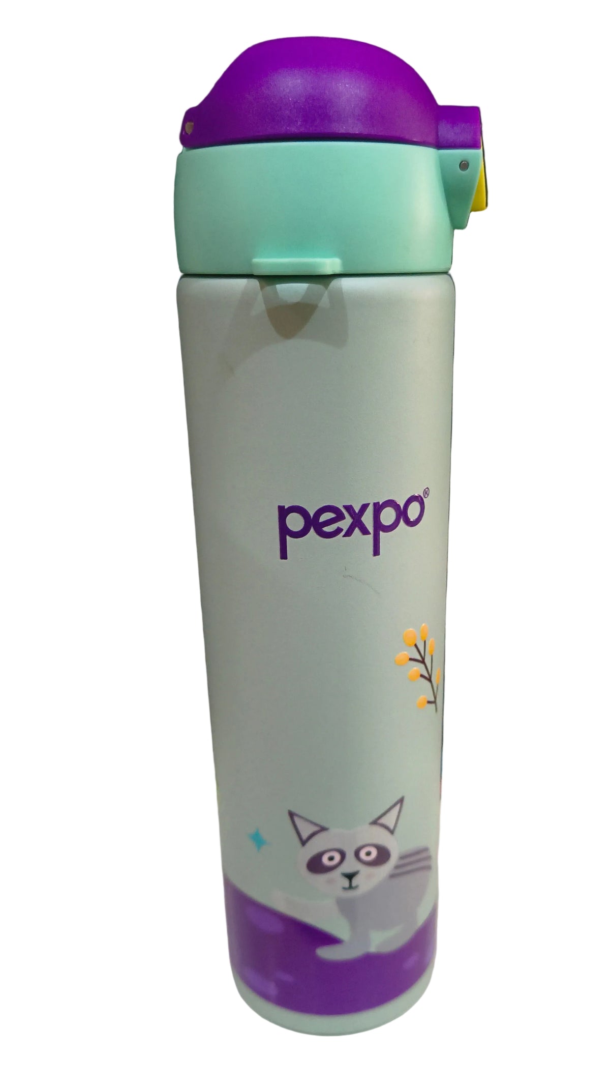 Pixy art 500 vacuum hot & cold bottle
