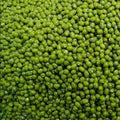 Moong Sabut	1kg