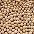 white matar 1kg