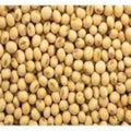 Soyabean Dall 1kg